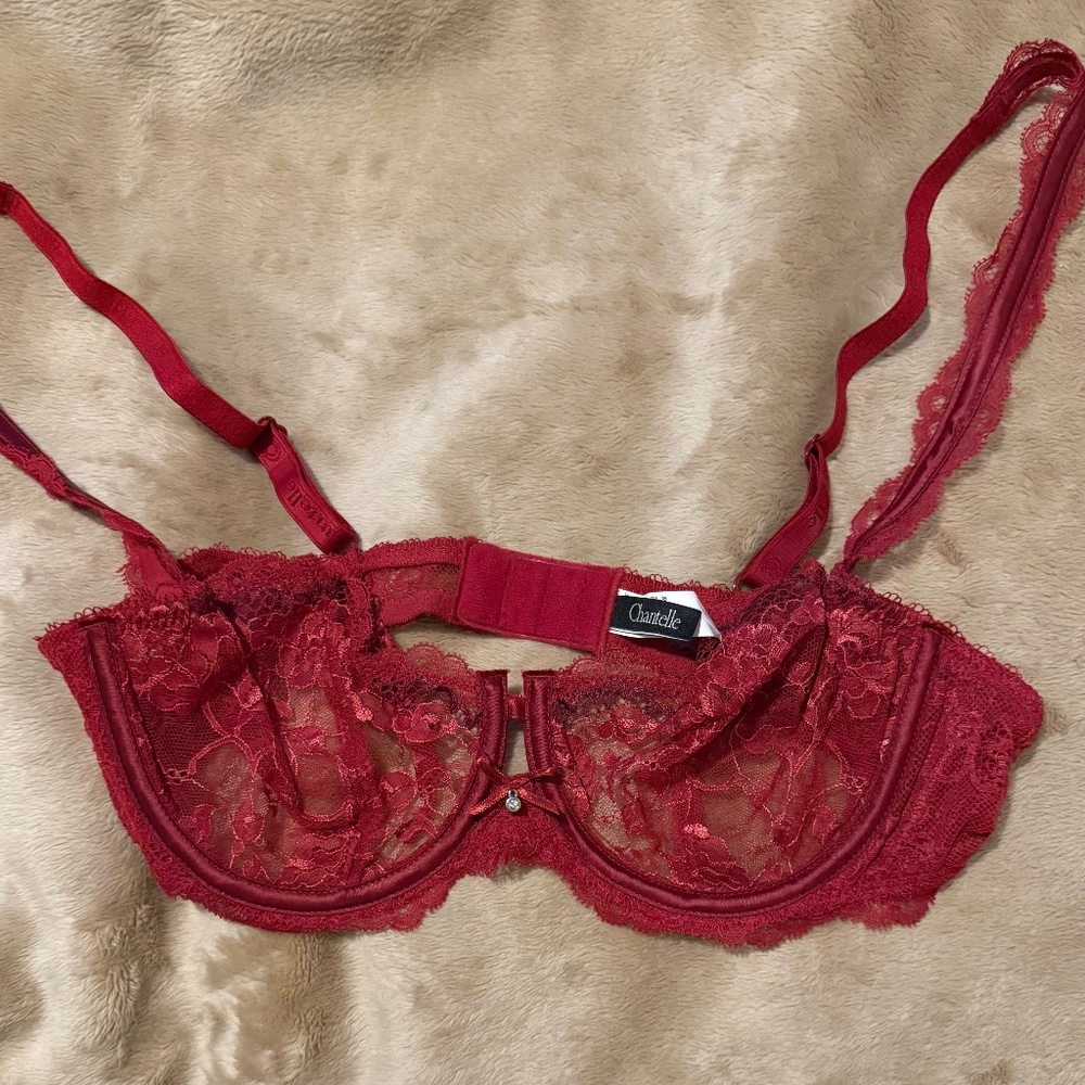 CHANTELLE #3625 ETERNELLE DEMI CUP BRA 36B NWOT